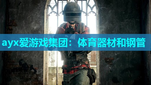 ayx爱游戏集团：体育器材和钢管