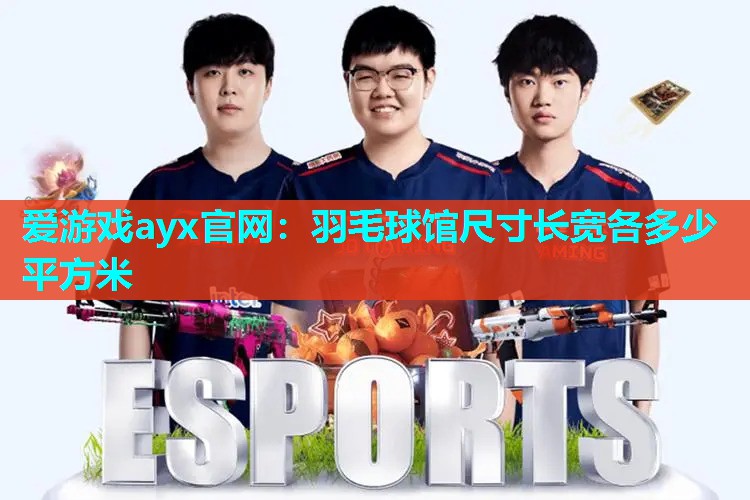 爱游戏ayx官网：羽毛球馆尺寸长宽各多少平方米