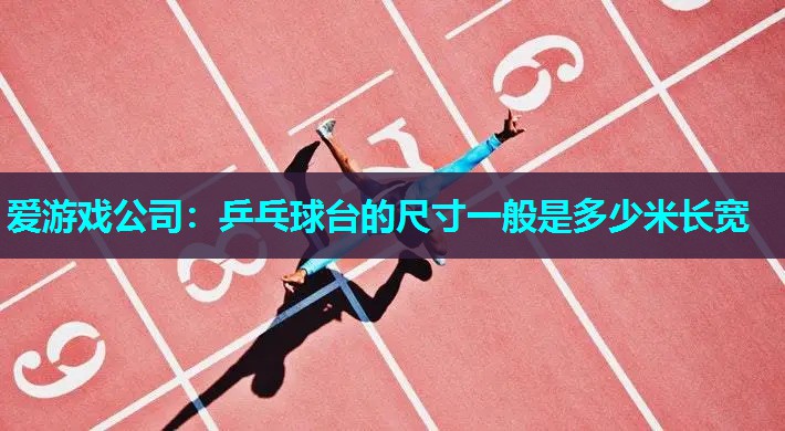 爱游戏公司：乒乓球台的尺寸一般是多少米长宽
