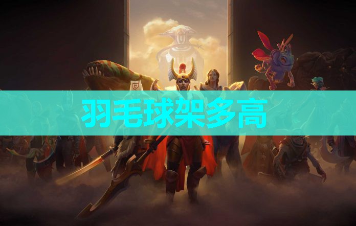 羽毛球架多高