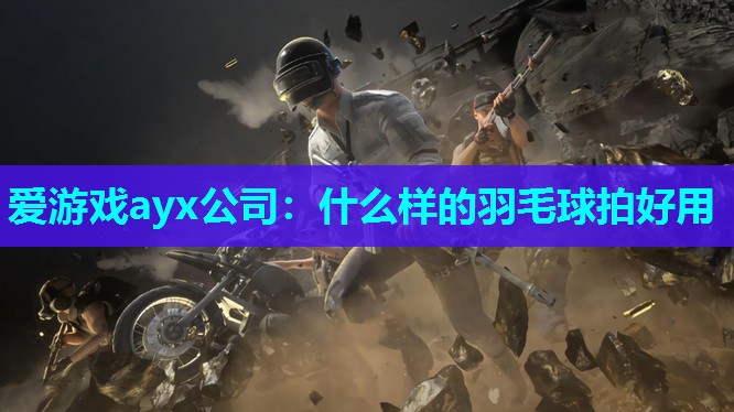 爱游戏ayx公司：什么样的羽毛球拍好用