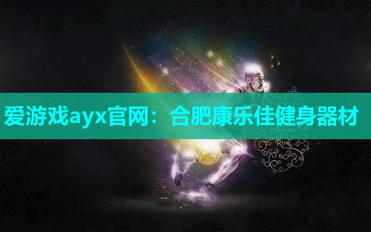合肥康乐佳健身器材