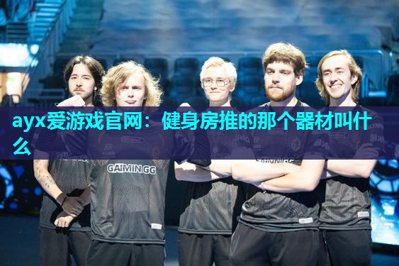 健身房推的那个器材叫什么