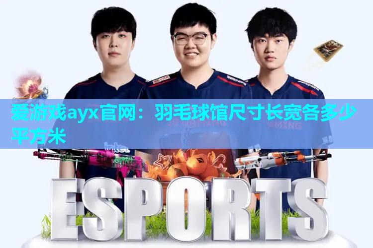 羽毛球馆尺寸长宽各多少平方米