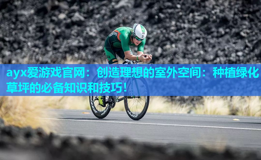 创造理想的室外空间：种植绿化草坪的必备知识和技巧！