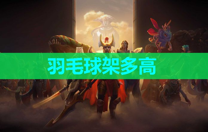 羽毛球架多高