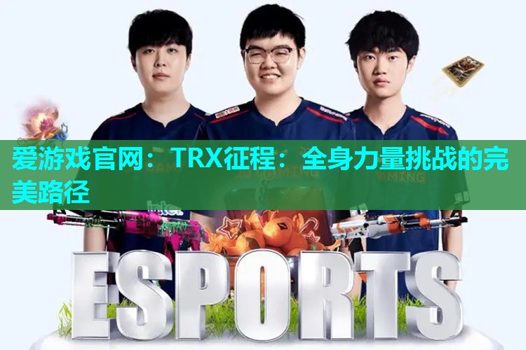 TRX征程：全身力量挑战的完美路径