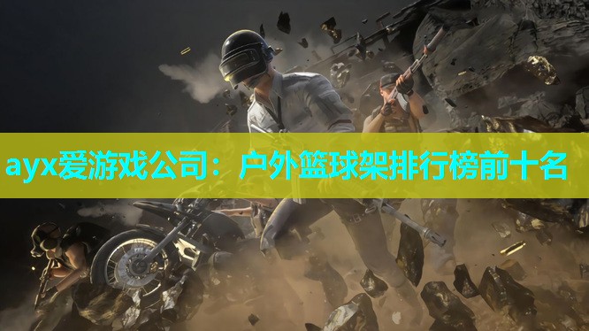 户外篮球架排行榜前十名